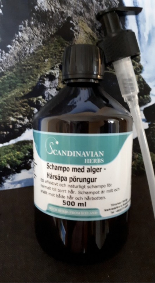 Schampo med alger XL 500 ml